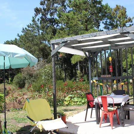 Apartmán O Gato Do Mar *