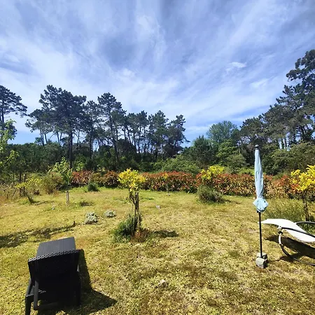 Apartmán O Gato Do Mar Viana do Castelo