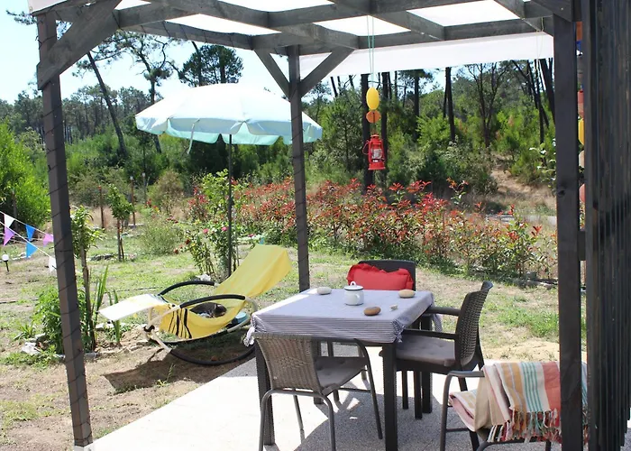 O Gato Do Mar * Viana do Castelo