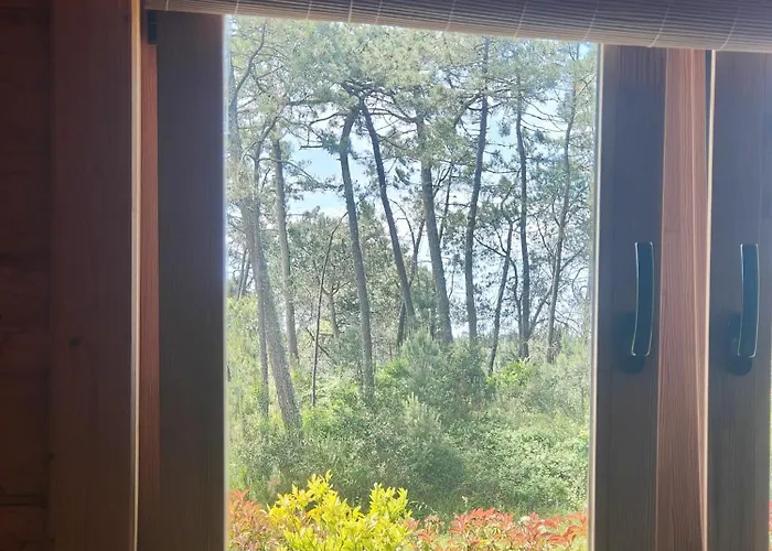 Apartmán O Gato Do Mar *