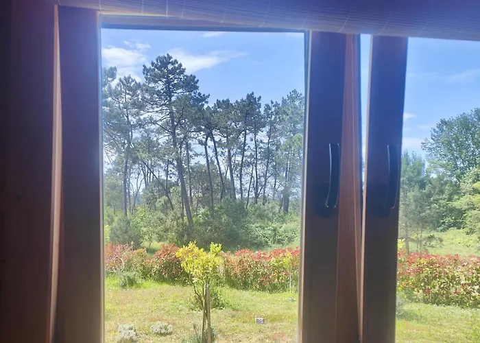 Apartmán O Gato Do Mar Viana do Castelo