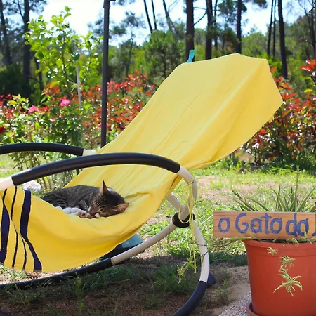 O Gato Do Mar Apartamento Viana do Castelo