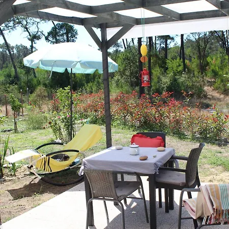 O Gato Do Mar * Viana do Castelo