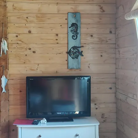 O Gato Do Mar * Viana do Castelo