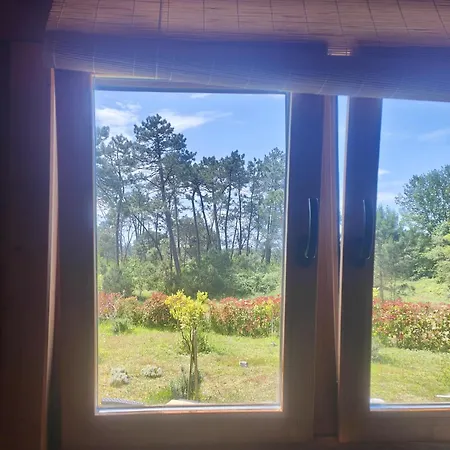 Apartment O Gato Do Mar Viana do Castelo