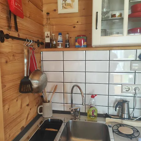 O Gato Do Mar Viana do Castelo