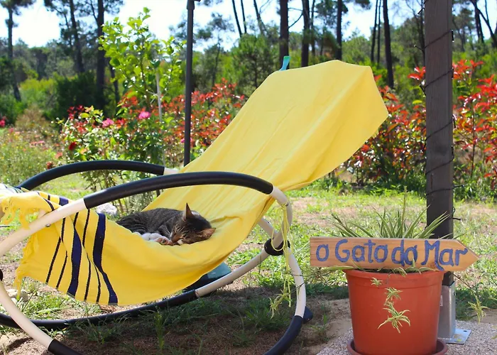 O Gato Do Mar Apartman Viana do Castelo