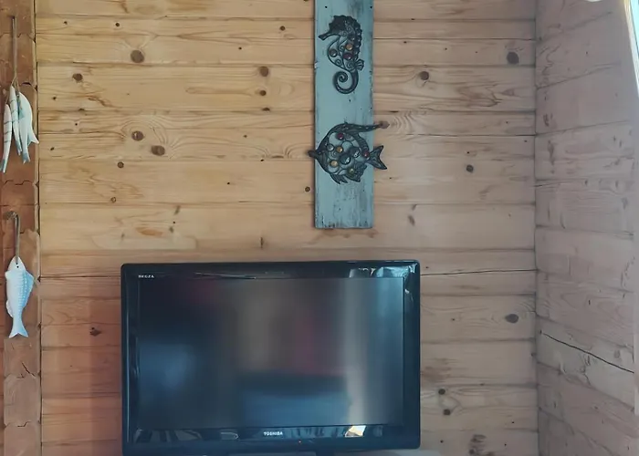 O Gato Do Mar * Viana do Castelo