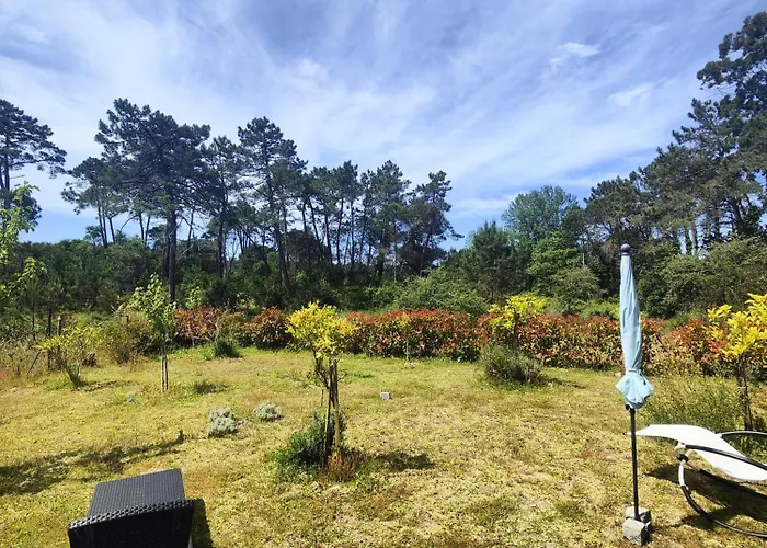 Apartman O Gato Do Mar Viana do Castelo