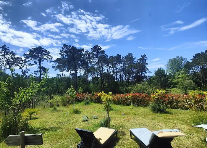 O Gato Do Mar * Viana do Castelo