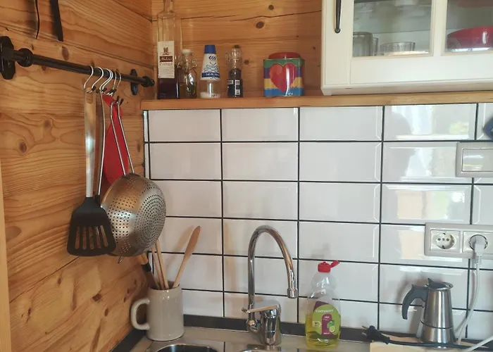 O Gato Do Mar Viana do Castelo