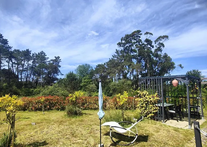 Apartman O Gato Do Mar Viana do Castelo