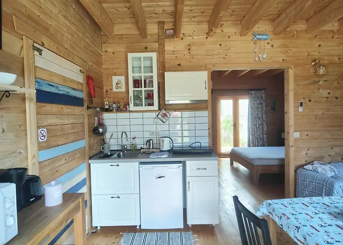 O Gato Do Mar * Viana do Castelo